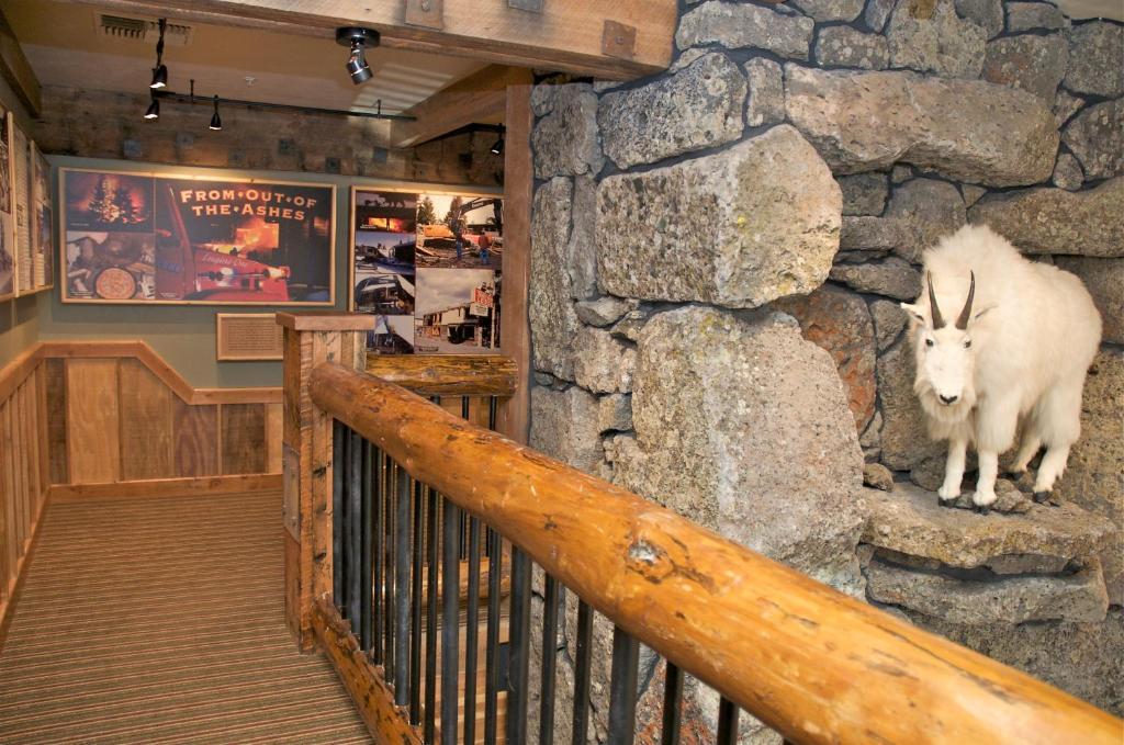 Three Bear Lodge West Yellowstone Zewnętrze zdjęcie