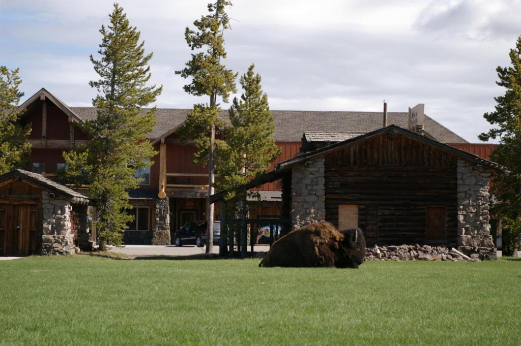 Three Bear Lodge West Yellowstone Zewnętrze zdjęcie