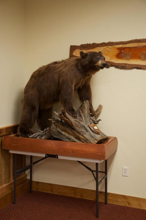 Three Bear Lodge West Yellowstone Zewnętrze zdjęcie